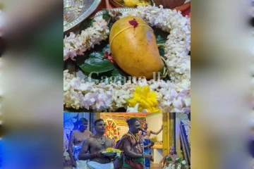 හිතා ගන්නවත් පුළුවන් ද ?..අඹ ගෙඩියට මෙච්චර මිලක්..