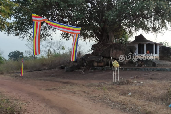 கிழக்கில் பறிபோகும் தமிழரின் நிலங்கள்: பெரும்பான்மை இனத்தவர்களுக்கு வழங்கப்பட்ட காணிகள் | Batticaloa Molathadu Crisis Tamils Land