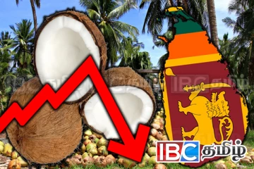 இலங்கை தேங்காய் உற்பத்தி தொடர்பில் வெளியான அதிர்ச்சி தகவல்