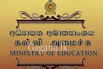 මෙවර සා/පෙළ ලියූ සිසුන්ට සහ විදුහල්පතිවරුන්ට අධ්‍යාපන අමාත්‍යංශය විශේෂ නිවේදනයක්.