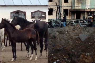 உக்ரைனில் 30 குதிரைகளை உயிருடன் எரித்து கொன்ற ரஷ்ய வீரர்கள்! கொடூரத்தின் உச்சம்