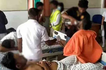 ருஹுணு பல்கலைக்கழக மாணவர்களை கொட்டிய குளவிகள்!