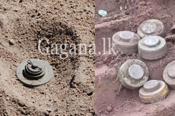 ඉඩමකින් ජීව බිම් බෝම්බ 5ක් හමුවෙයි.