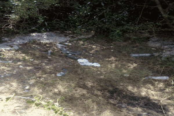 யாழில் உருக்குலைந்த நிலையில் மீட்கப்பட்ட சடலம் | Body Recovered From A Decomposed State In Jaffna