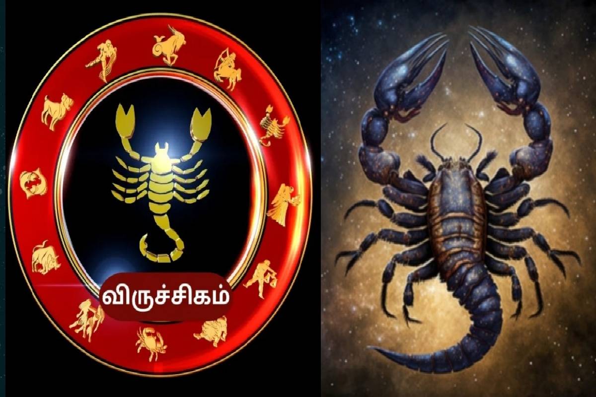 கன்னி ராசியில் உருவான புதாதித்ய ராஜயோகம்: 6 ராசிகளுக்கு சிறப்பான பலன்கள்! | Budhaditya Rajyog From Today Who Get Huge Growth கன்னி ராசியில் உருவான புதாதித்ய ராஜயோகம்: 6 ராசிகளுக்கு சிறப்பான பலன்கள்! | Budhaditya Rajyog From Today Who Get Huge Growth