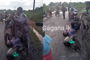 පාසල් ළමුන් 150ක් යන පාරක වන අලි පහරදීමක්..එක් අයෙකුට බරපතලයි(PHOTOS)