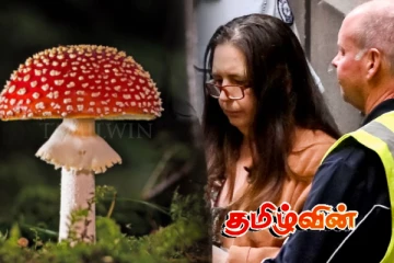 உலகின் மிக மோசமான காளான்களை வைத்து செய்யப்பட்ட படுகொலைகள்.. பெண்ணுக்கு கடும் தண்டனை