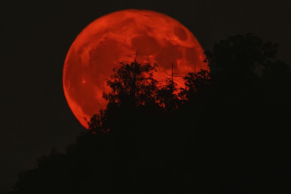 2026இன் முதல் சந்திர கிரகணம் மார்ச்சில்... | First Lunar Eclipse Of 2026 Will Be On March 2026இன் முதல் சந்திர கிரகணம் மார்ச்சில்... | First Lunar Eclipse Of 2026 Will Be On March