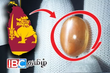 உலகில் மிகவும் அரிதான மாணிக்க கல் இலங்கையில் கண்டுபிடிப்பு