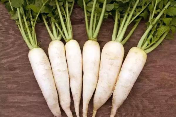 இந்த நோய் இருப்பவர்கள் முள்ளங்கி மறந்தும் சாப்பிடாதீங்க - இந்த விளைவு வரும் | Who Should Not Eat Radishes Health Tips