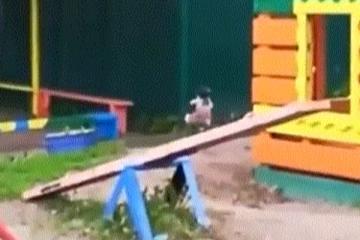 தனியாக ஓடி ஓடி விளையாடி மகிழும் பறவை....  கியூட்டான செயலால் மெய்மறந்து போன பார்வையாளர்கள்