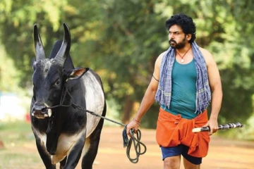 சென்னையில் ஜல்லிக்கட்டா.. பாரம்பரிய திருவிழாவில் நடிகர் கார்த்தி கூறிய அதிரடி பதில்