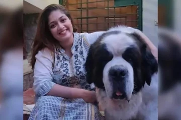 கணவனை இழந்த மேக்னா ராஜ் வீட்டில் அரங்கேறிய அடுத்த சோகம்- ரசிகர்கள் ஆறுதல்!