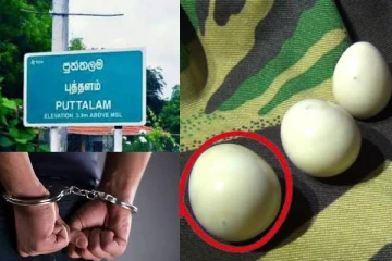 புத்தளத்தில் கோடி ரூபா பெறுமதியான கஜமுத்துக்களுடன் மூவர் கைது