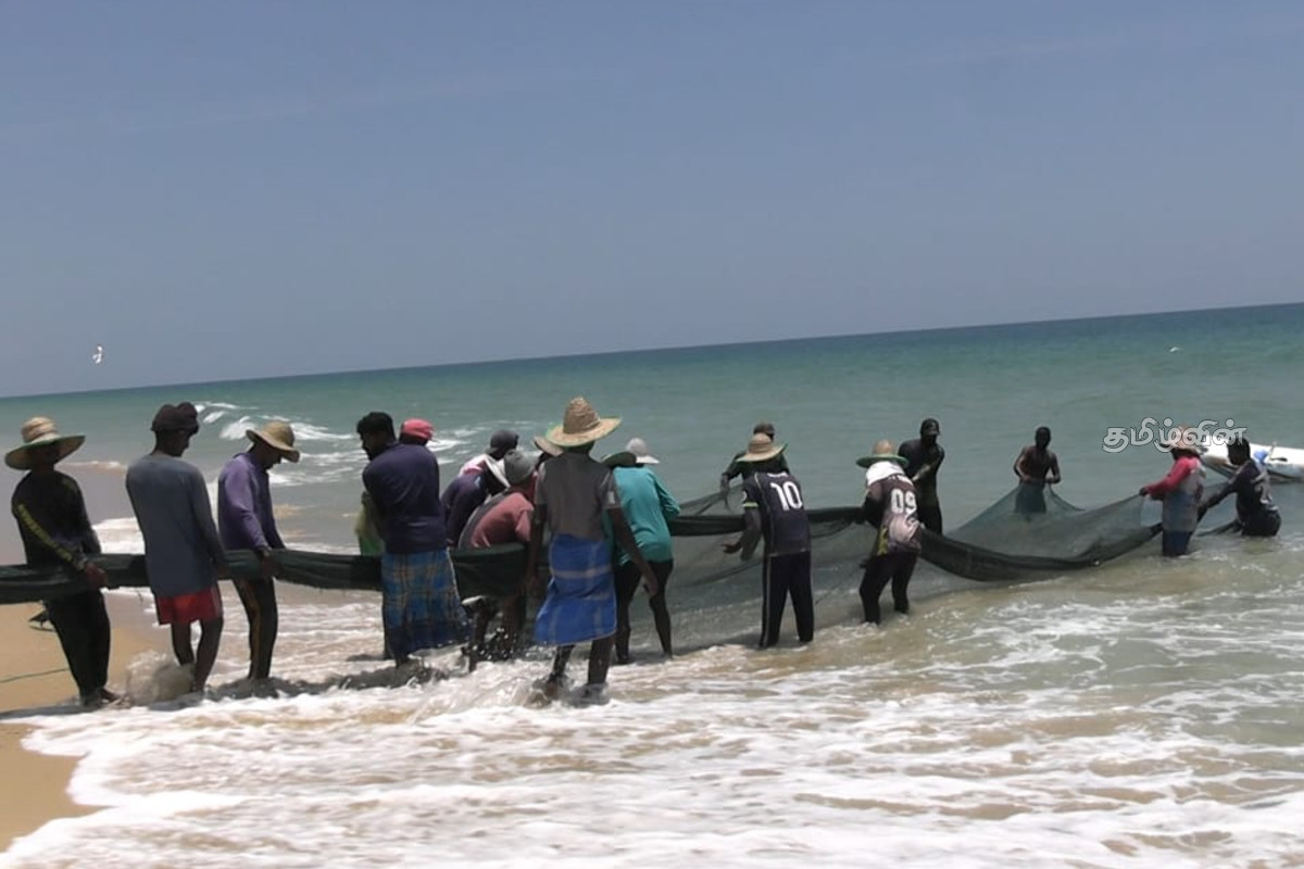 யாழில் 9 கடற்றொழிலாளர்கள் கைது - கடற்படையினரின் அதிரடி நடவடிக்கை | 9 Fishermen Arrested In Jaffna