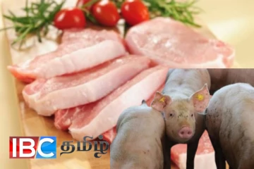 இலங்கையில் மீண்டும் ஆரம்பமானது பன்றி இறைச்சி விற்பனை