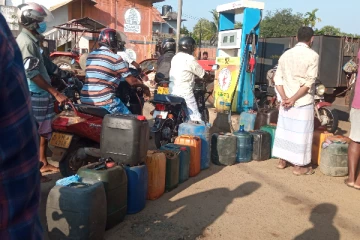 மன்னார் மாவட்டத்தில் தற்போது பெரும்போக அறுவடை ஆரம்பம்: சிரமத்தின் மத்தியில் விவசாயிகள்(Photos)