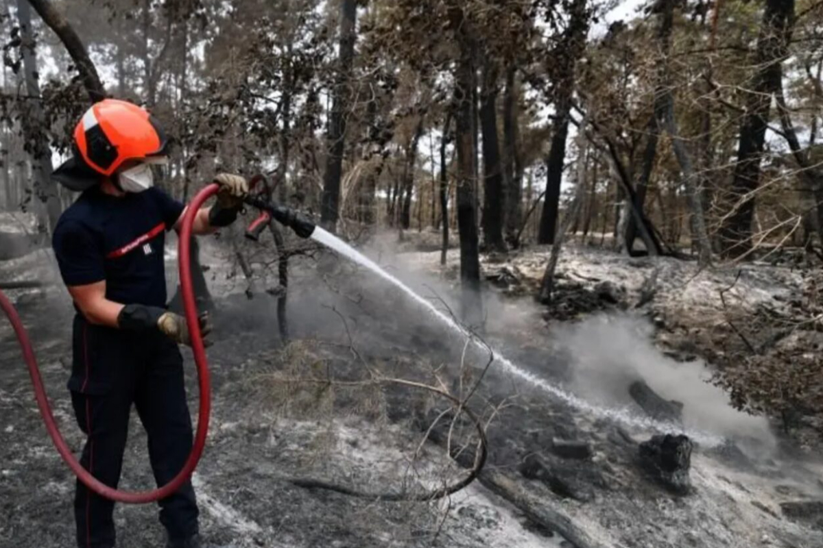 காட்டுத்தீயில் பிரெஞ்சு தீயணைப்பு வீரர்கள் இருவர் பலி | Two French Firefighters Killed In Wildfire