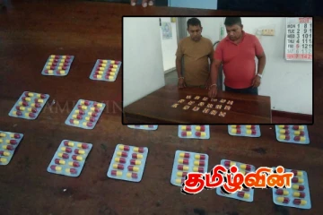 யாழ். கொழும்புத்துறை பகுதியில் போதை மாத்திரைகளுடன் மூவர் கைது