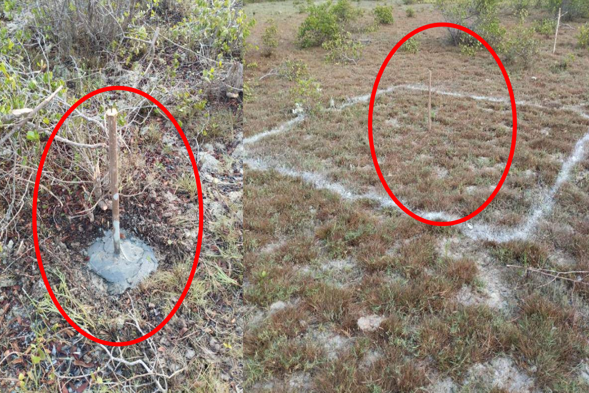 பூநகரி எல்லையில் இரகசிய கண்காணிப்பு கோபுரம்; சுற்றி வளைத்த பிரதேசவாசிகள்! | Secret Surveillance Tower In Poonakary Kilinochchi பூநகரி எல்லையில் இரகசிய கண்காணிப்பு கோபுரம்; சுற்றி வளைத்த பிரதேசவாசிகள்! | Secret Surveillance Tower In Poonakary Kilinochchi