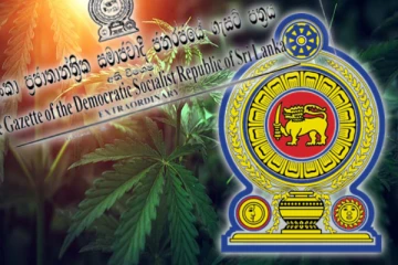 கஞ்சா பயிர்ச் செய்கை தொடர்பில் வெளியாகவுள்ள வர்த்தமானி: மருத்துவ இராஜாங்க அமைச்சர்