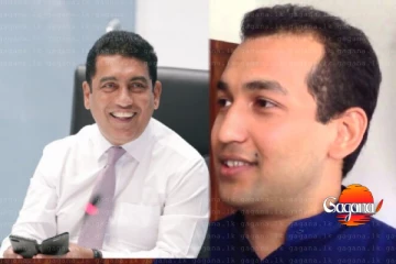 ජොන්ස්ටන්ට සහ පුතාට චෝදනා ලැයිස්තුවක් මෙන්න
