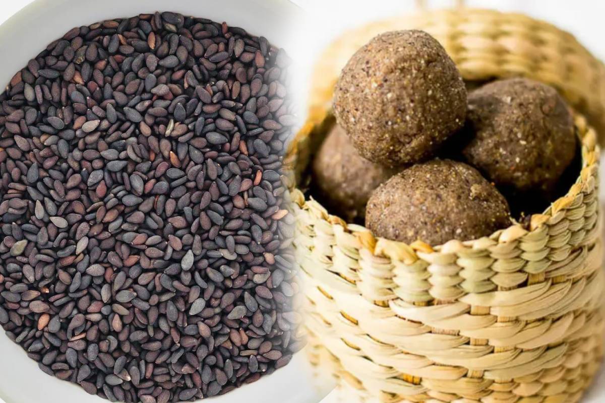 உடல் ஆரோக்கியத்திற்கு சத்தான கருப்பு எள்ளு லட்டு.., எப்படி செய்வது? | Healthy Laddu Recipe In Tamil