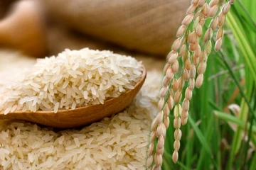 நாட்டில் 70,000 மெற்றிக் தொன் அரிசியை இறக்குமதி செய்ய தீர்மானம்