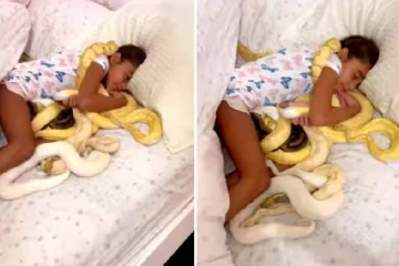 படுக்கையில் நெளியும் பாம்புகளுடன் குஷியாக தூங்கும் சிறுமி... புல்லரிக்கும் காட்சி