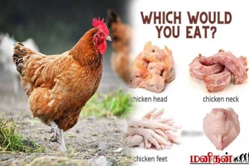 கோழி இறைச்சியில் கழுத்து மற்றும் இதையம் சாப்பிட்டால் என்ன நடக்கும்?
