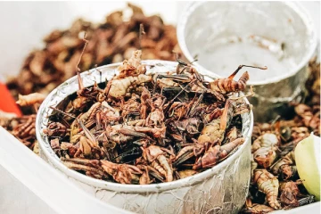 உலகின் இந்த வினோத உணவுகள் பற்றி தெரியுமா - தெரிஞ்சா ஆடிப்போயிருவீங்க.!