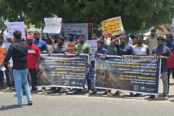 மன்னாரில் 27 ஆவது நாளாகவும் போராட்டம்: ஆதரவாக குவித்த பெருந்திரள் மக்கள் | Protest In Mannar Enters 27Th Day