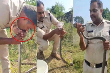 மயங்கிய பாம்பு; வாயோடு வாய் வைத்து CPR சிகிச்சை அளித்த காவலர் - வைரலாகும் Video!