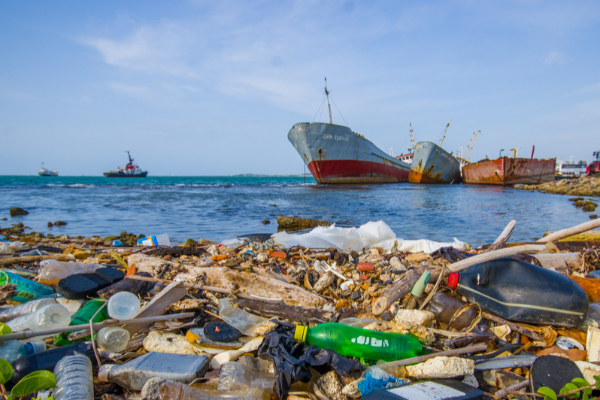 டித்வா சூறாவளியால் கடல் பகுதிகளுக்கு ஏற்பட்டுள்ள பெரும் அச்சுறுத்தல் | Ditva Cyclone Has Caused A Major Threat To The Sea டித்வா சூறாவளியால் கடல் பகுதிகளுக்கு ஏற்பட்டுள்ள பெரும் அச்சுறுத்தல் | Ditva Cyclone Has Caused A Major Threat To The Sea