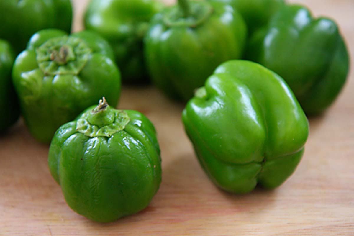 கோடைகாலத்தில் உடல் எடையை குறைக்க உதவும் உணவுகள் | Foods To Reduce Weight During Summer Season