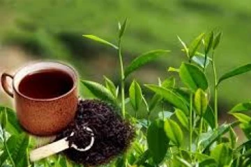 இலங்கையில் இதுவரை இல்லாத அதிகூடிய விலை!