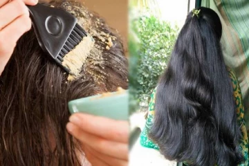 முடியின் வேர்களுக்கு ஊட்டமளித்து நீளமான அடர்த்தியான கூந்தலுக்கு Protein Hairpack: எப்படி தயாரிப்பது?