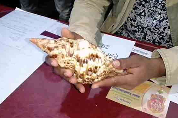 ஆறு கோடி ரூபாவுக்கு சங்கு விற்ற இருவர் கைது | Two People Were Arrested For Selling Conch