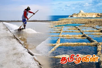 முற்றாக முடங்கி போன உப்பு உற்பத்தி