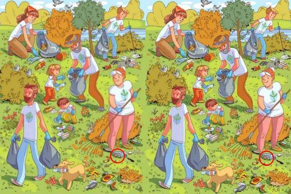 படத்தில் “எலி” எங்கே இருக்கிறது? ஜீனியஸால் மட்டுமே முடியும் | Find The Hidden Mouse In This Picture