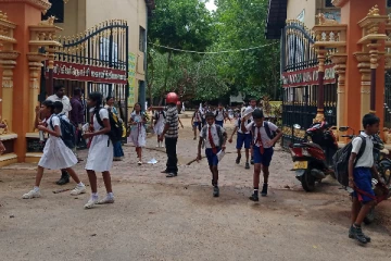 கிளிநொச்சி மகா வித்தியாலயத்தில் குளவி கொட்டுக்கு இலக்காகி 25 மாணவர்கள் வைத்தியசாலையில் (Photos)