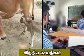 2 தலை, 3 கண்களுடன் பிறந்த கன்றுக்குட்டி.! வகுப்பிற்கு வராத காரணத்தால் மாணவனை கொடூரமாக அடித்த ஆசிரியர்.. இந்திய செய்திகள்