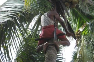 இலங்கையில் பெரும் சோகத்தை ஏற்படுத்திய சம்பவம்: பரிதாபமாக உயிரிழந்த இளைஞன்!