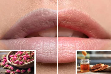 தேன் + ரோஜா இதழ் போதும்..! கருமையான உதட்டை சிவப்பு நிறத்தில் மாற்றலாம்