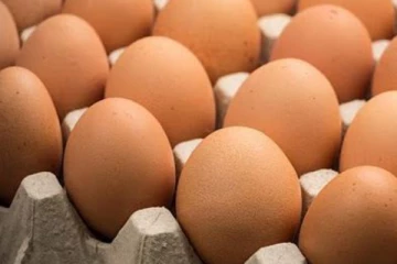 බිත්තර ආනයනය ගැන අලුත් තොරතුරක්.