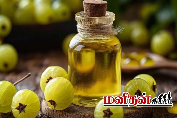 வாரம் 3 முறை போடுங்க.. இடுப்பு வரை தலைமுடி நீளமாக வளரும்! | Nighttime Hair Oils For Hair Growth வாரம் 3 முறை போடுங்க.. இடுப்பு வரை தலைமுடி நீளமாக வளரும்! | Nighttime Hair Oils For Hair Growth