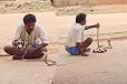 Viral Video: படமெடுத்து எதிர்த்து நிற்கும் பாம்பு... மதுபோதையில் நபர் செய்த காரியம்