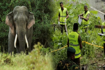 கந்தளாயில் யானை தாக்கியதில் வயோதிபர் ஒருவர் பலி