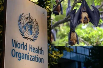 வேகமாக பரவும் மற்றொரு வைரஸ்: WHO விடுத்துள்ள எச்சரிக்கை