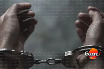 අපරාධ කල්ලි සාමාජික බස් ලලිතුත් අත්අඩංගුවට